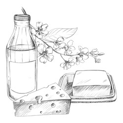 Бутылка молока, сыр, масло и ветка черемухи. Иллюстрации фермы, выполненные карандашом вручную. Для оформления открыток, обложек, принтов, этикеток для товаров и тканей - Lizyaeva_art
