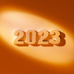 Новый год 2023 - Zoom