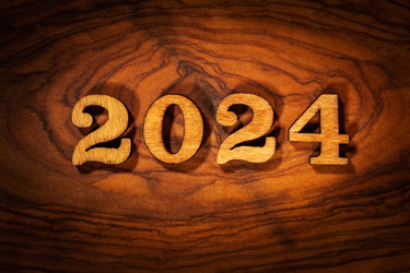 Новый год 2024 - Zoom