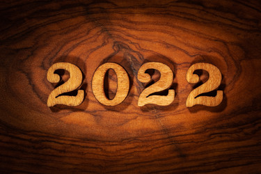 2022 год - Надпись деревянными буквами - Zoom