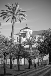 In the garden of the Mosque–Cathedral of Cordoba - Zoom