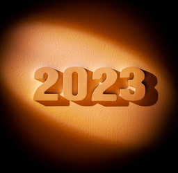 Новый год 2023 - Zoom