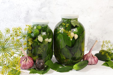 Консервированные огурцы с укропом, чесноком и листьями для засолки на кухонном столе. Концепция урожая. Рецепт и ингредиенты для домашних солений. Концепция домашнего консервирования. Здоровая и натуральная еда. Выборочная фокусировка - svetlanabalyn