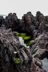 Лавовое плато Янкито. о. Итуруп.Yankito lava plateau. Iturup Island. (Сахалин. Sakhalin. (marka) - marka