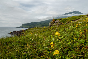 Лавовое плато Янкито с видом на вулкан Богдан Хмельницкий. о. Итуруп. The Yankito plateau with a view of the Bogdan Khmelnitsky volcano. Iturup Island. (Сахалин. Sakhalin. (marka) - marka