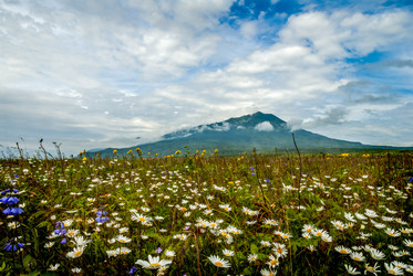 Лавовое плато Янкито с видом на вулкан Богдан Хмельницкий. о. Итуруп. The Yankito plateau with a view of the Bogdan Khmelnitsky volcano. Iturup Island. (Сахалин. Sakhalin. (marka) - marka