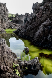 Лавовое плато Янкито. о. Итуруп.Yankito lava plateau. Iturup Island. (Сахалин. Sakhalin. (marka) - marka