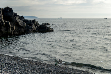 Вид на Курильский залив с плато Янкито. о. Итуруп.. Iturup Island. (Сахалин. Sakhalin. (marka) - marka