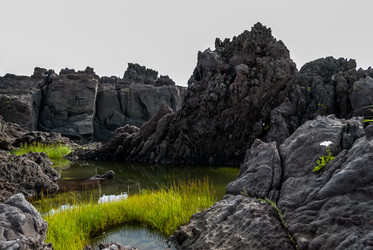 Лавовое плато Янкито. о. Итуруп.Yankito lava plateau. Iturup Island. (Сахалин. Sakhalin. (marka) - marka