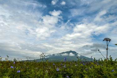 Лавовое плато Янкито с видом на вулкан Богдан Хмельницкий. о. Итуруп. The Yankito plateau with a view of the Bogdan Khmelnitsky volcano. Iturup Island. (Сахалин. Sakhalin. (marka) - marka