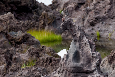 Лавовое плато Янкито. о. Итуруп.Yankito lava plateau. Iturup Island. (Сахалин. Sakhalin. (marka) - marka