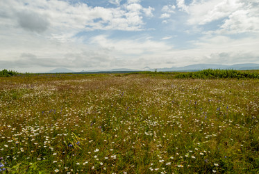 Лавовое плато Янкито. о. Итуруп. Iturup Island. (Сахалин. Sakhalin. (marka) - marka