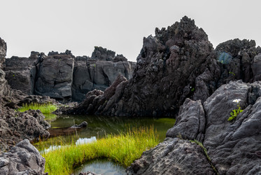 Лавовое плато Янкито. о. Итуруп.Yankito lava plateau. Iturup Island. (Сахалин. Sakhalin. (marka) - marka