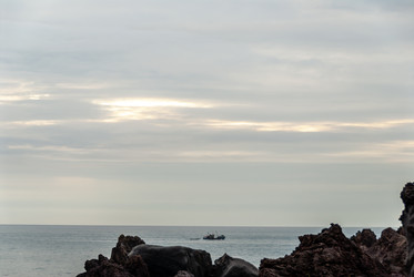 Вид на Курильский залив с плато Янкито. о. Итуруп.. Iturup Island. (Сахалин. Sakhalin. (marka) - marka