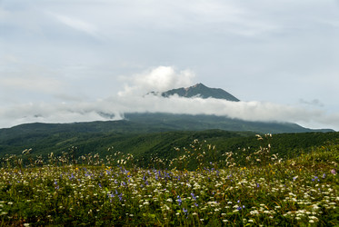 Лавовое плато Янкито с видом на вулкан Богдан Хмельницкий. о. Итуруп. The Yankito plateau with a view of the Bogdan Khmelnitsky volcano. Iturup Island. (Сахалин. Sakhalin. (marka) - marka
