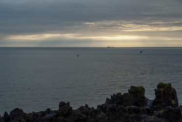 Вид на залив Китовый с плато Янкито. о. Итуруп.. Iturup Island. (Сахалин. Sakhalin. (marka) - marka