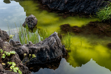 Лавовое плато Янкито. о. Итуруп.Yankito lava plateau. Iturup Island. (Сахалин. Sakhalin. (marka) - marka