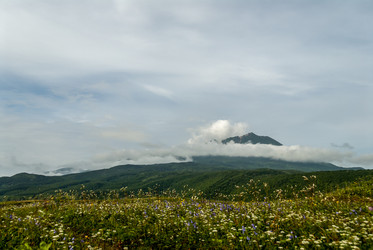 Лавовое плато Янкито с видом на вулкан Богдан Хмельницкий. о. Итуруп. The Yankito plateau with a view of the Bogdan Khmelnitsky volcano. Iturup Island. (Сахалин. Sakhalin. (marka) - marka