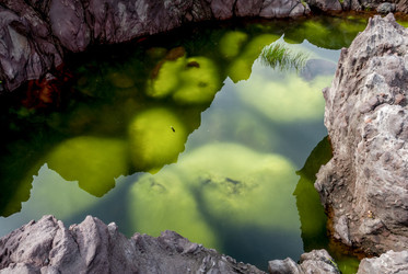 Лавовое плато Янкито. о. Итуруп.Yankito lava plateau. Iturup Island. (Сахалин. Sakhalin. (marka) - marka