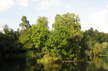 Остров в пруду парка усадьбы Архангельское-Тюриково - Anastasia_y