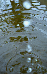 Капли воды падают в емкость с водой - KOSTJA
