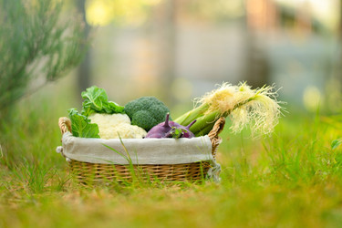 Плетеная корзина с продуктами из брокколи, цветной капусты и сельдерея стоит на траве с видом сверху на открытом воздухе. Рассыпающиеся овощи демонстрируют свежесть, яркое разнообразие полезного урожая при естественном освещении - ElenaSk