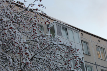 Ветки с красными ягодами рябины под снегом на фоне городского дома с балконами - Staisy