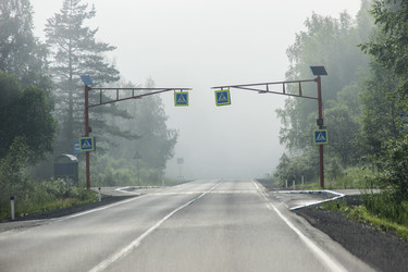 Empty wet asphalt road with pedestrian crossing signs in heavy morning fog. / Пустая мокрая асфальтированная дорога с пешеходным переходом в густом утреннем тумане - kitikat