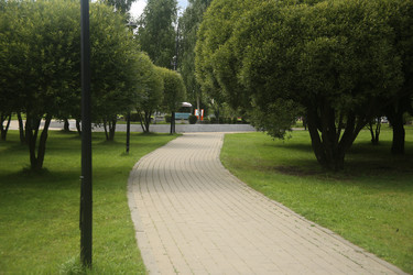 Растения, деревья и асфальтовая дорожка в городском парке Москвы крупным планом - ZemLenik_photoclb