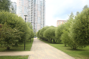 Растения, асфальтовая дорожка и жилые дома в городском парке Москвы крупным планом - ZemLenik_photoclb