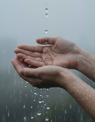 Сложенные чашечкой ладони собирают прозрачные капли дождевой воды, падающие сверху на сером размытом фоне - Kulkann75