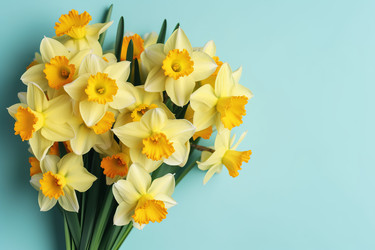 Букет желтых нарциссов narcissus. Генерировать искусственный интеллект - yliv