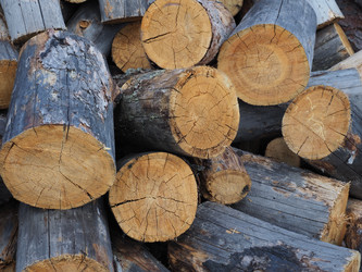 Живописная куча дров. Бревна. Фон. Фактура. Сахалин. A picturesque pile of firewood. Logs. Background. The invoice. Sakhalin. (marka) - marka