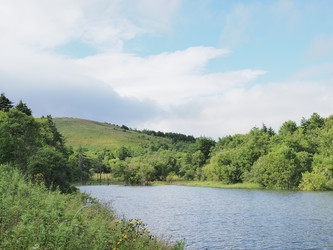 Лесное озеро. Сахалин. Forest lake. Sakhalin. (marka) - marka