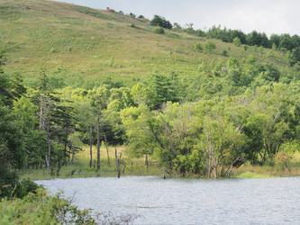Лесное озеро. Сахалин. Forest lake. Sakhalin. (marka) - marka