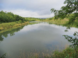 Лесное озеро. Сахалин. Forest lake. Sakhalin. (marka) - marka