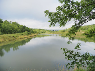 Лесное озеро. Сахалин. Forest lake. Sakhalin. (marka) - marka