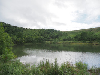 Лесное озеро. Сахалин. Forest lake. Sakhalin. (marka) - marka