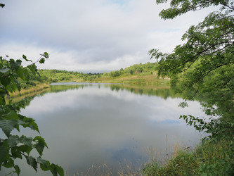 Лесное озеро. Сахалин. Forest lake. Sakhalin. (marka) - marka