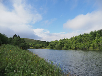 Лесное озеро. Сахалин. Forest lake. Sakhalin. (marka) - marka