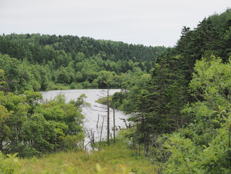 Лесное озеро. Сахалин. Forest lake. Sakhalin. (marka) - marka