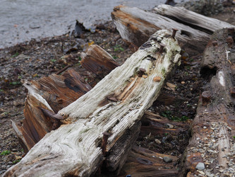 Остов лодки на берегу. Сахалин. The wreck of a boat on the shore. Sakhalin.(marka) - marka