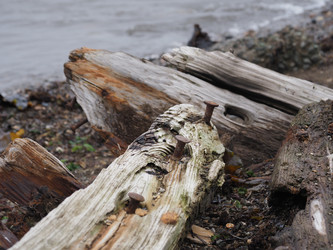 Остов лодки на берегу. Сахалин. The wreck of a boat on the shore. Sakhalin.(marka) - marka