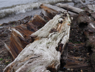 Остов лодки на берегу. Сахалин. The wreck of a boat on the shore. Sakhalin.(marka) - marka