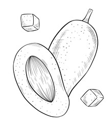 Подробные ботанические иллюстрации, выполненные вручную: свежие спелые цельные плоды манго, нарезанные ломтиками, листья и цветы. Набор с гравировкой для упаковки, меню, продуктов, открыток, этикеток и приглашений - Milla_Zelenyuk