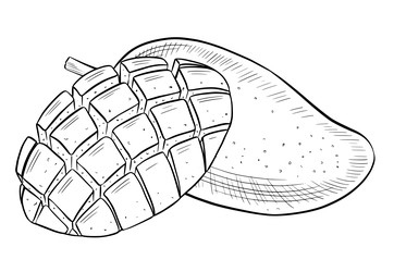 Подробные ботанические иллюстрации, выполненные вручную: свежие спелые цельные плоды манго, нарезанные ломтиками, листья и цветы. Набор с гравировкой для упаковки, меню, продуктов, открыток, этикеток и приглашений - Milla_Zelenyuk
