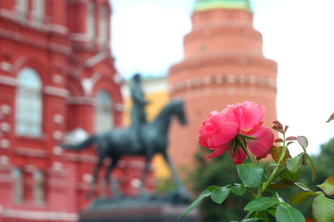 РОЗА. ПАМЯТНИК МАРШАЛУ ЖУКОВУ, ИСТОРИЧЕСКИЙ МУЗЕЙ, МОСКВА. MONUMENT TO MARSHAL ZHUKOV, HISTORICAL MUSEUM, MOSCOW - ViatorArt