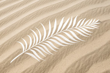 Nature’s Artistry Showcases Palm Leaf Pattern on Sand at Midday - RomanZ
