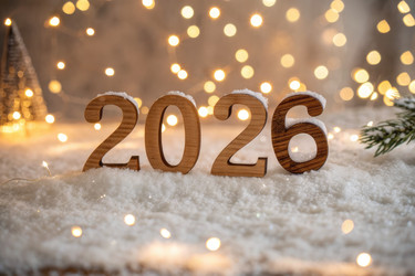 Празднуем наступление 2026 года с помощью зимних украшений и гирлянд - RomanZ