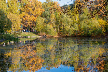 Средний Лианозовский пруд в Лианозовском парке культуры и отдыха осенним солнечным днем. Москва - kostya6969